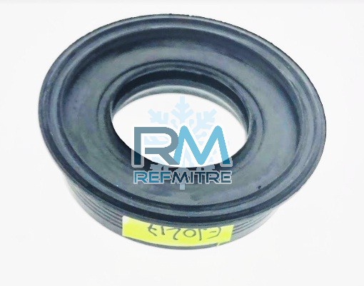 RETEN 30 X 52 X 15 ELECTROLUX 1000-1007