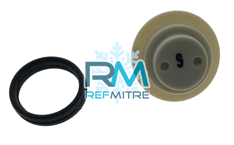 CONJUNTO TERMOSTATO NTC LVV